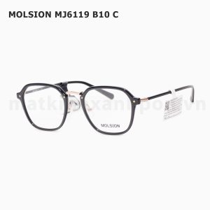 Molsion MJ6119 B10 C