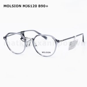 Molsion MJ6120 B90