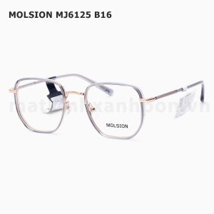 Molsion MJ6125 B16