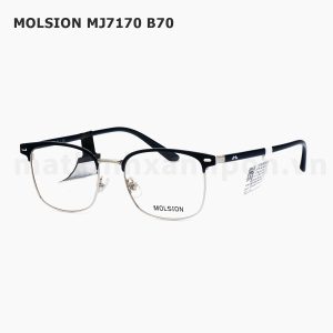 Molsion MJ7170 B70