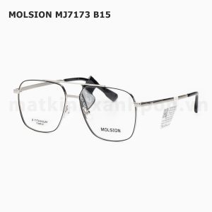 Molsion MJ7173 B15