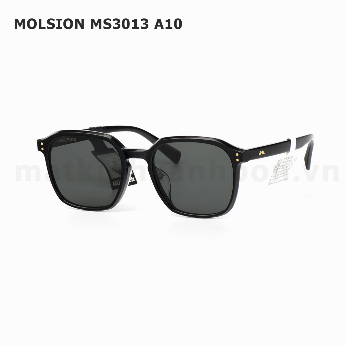 Molsion MS3013 A10