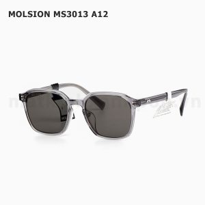 Molsion MS3013 A12