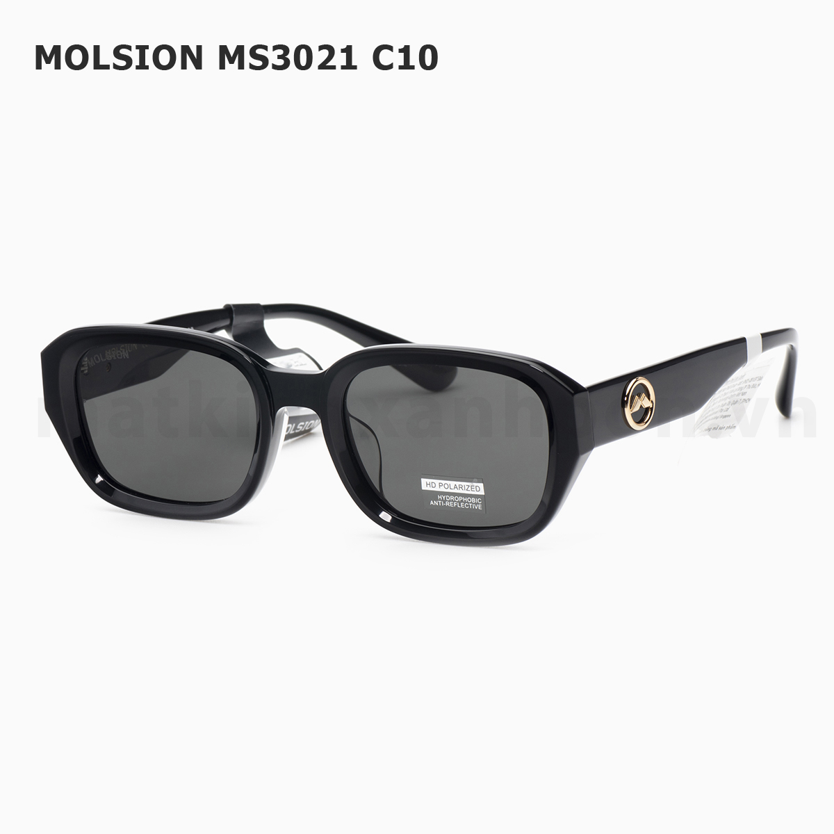 Molsion MS3021 C10