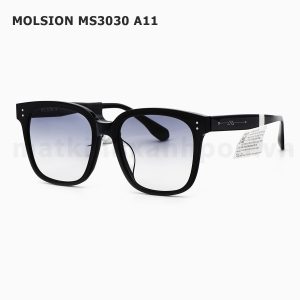 Molsion MS3030 A11
