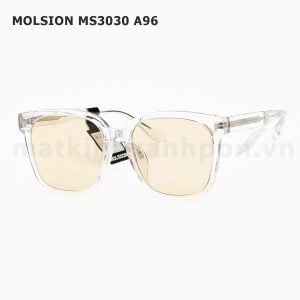 Molsion MS3030 A96
