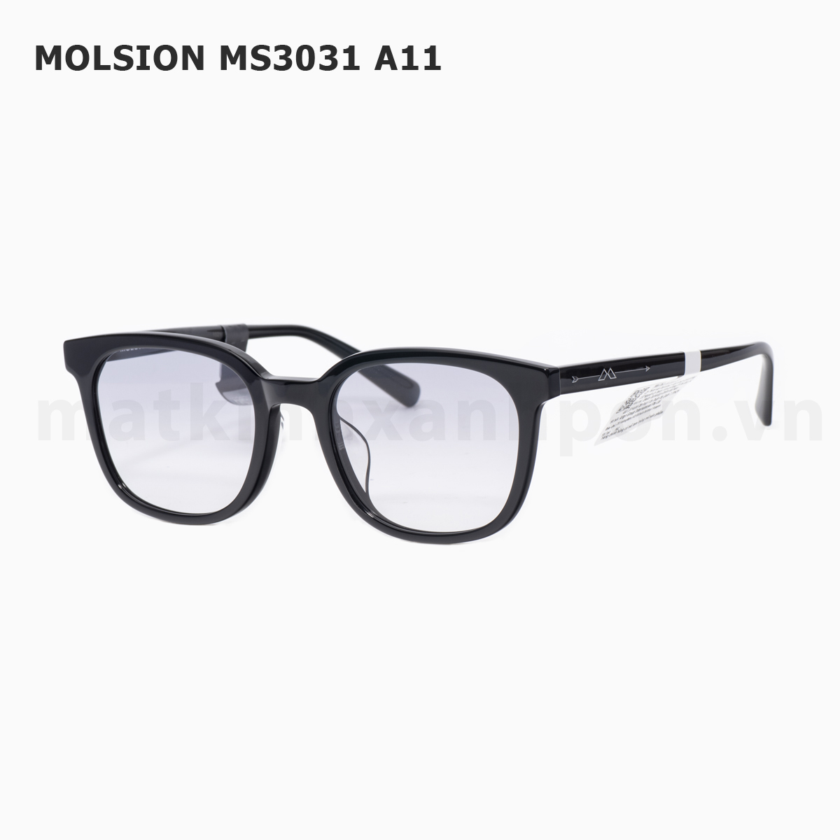 Molsion MS3031 A11