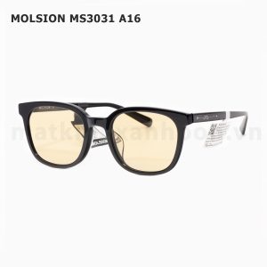 Molsion MS3031 A16