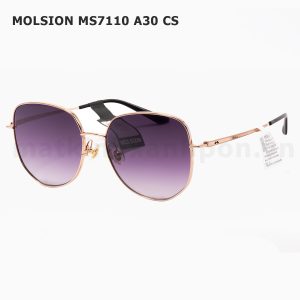 Molsion MS7110 A30 CS